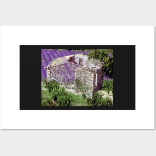 Barn with lavender in the Provence, France. Posters and Art